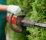 Hedge trimming