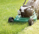 Lawn mowing and maintenance