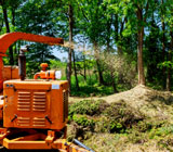 Forestry mulching