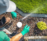 Sprinkler system installation and maintenance