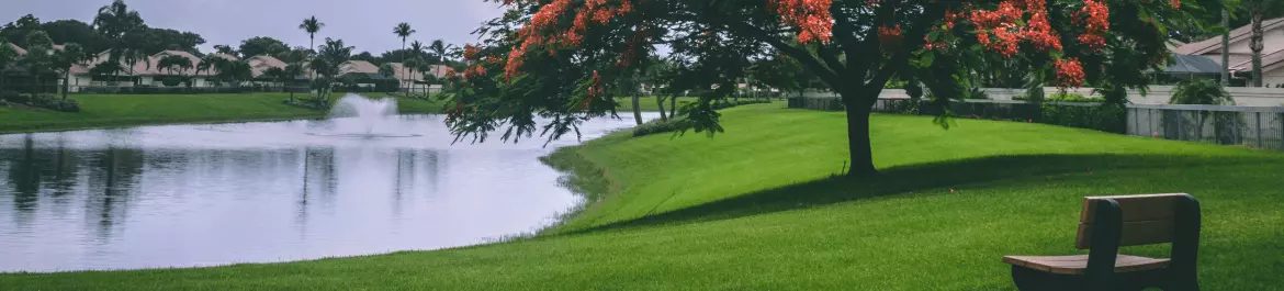 garden with late view