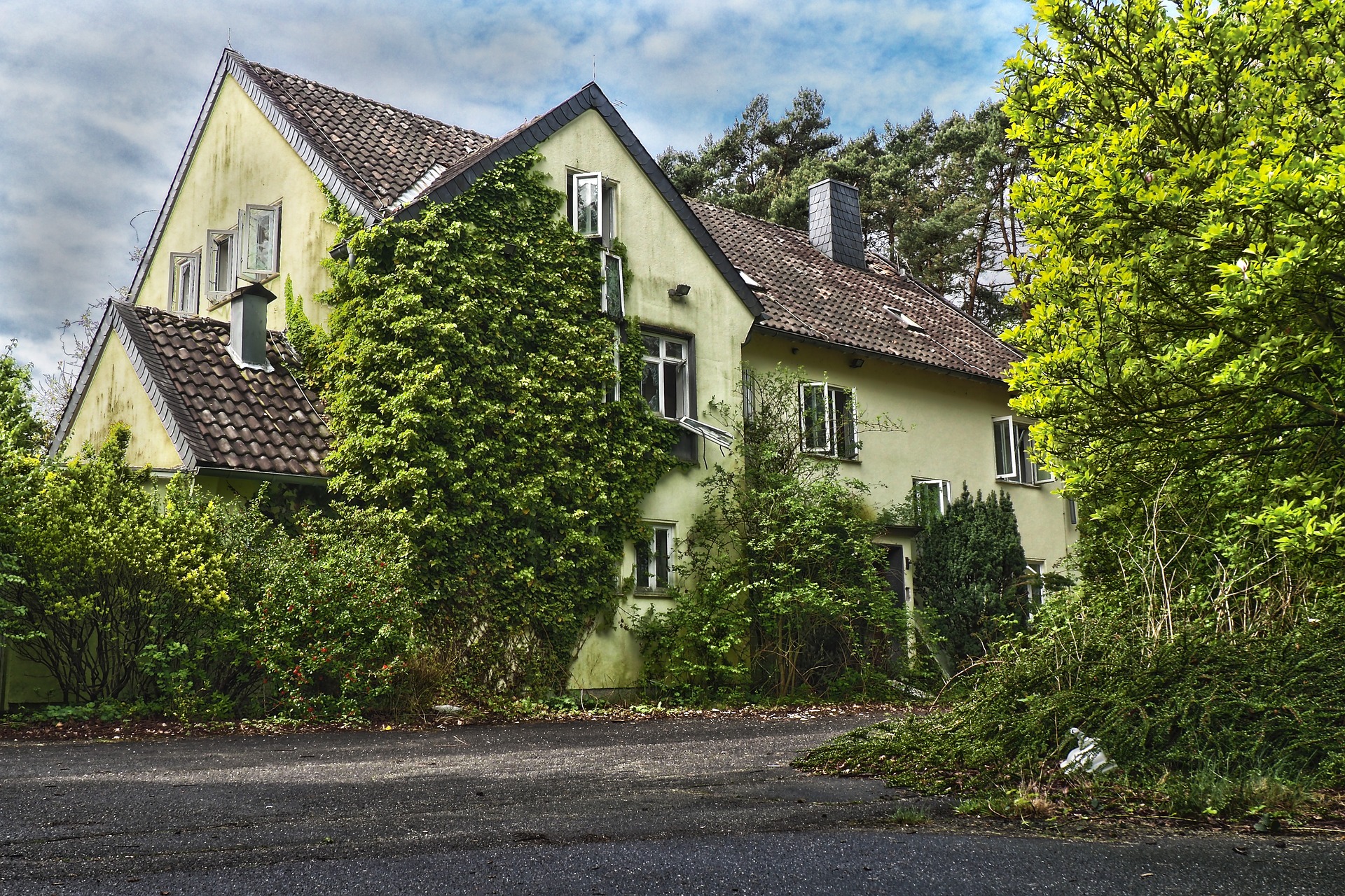 An overgrown house that could really benefit from blackberry bush removal